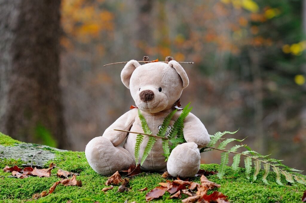 teddy bear, bear, plush toy, stuffed toy, stuffed animal, nature, outdoors, leaves, plants, forest